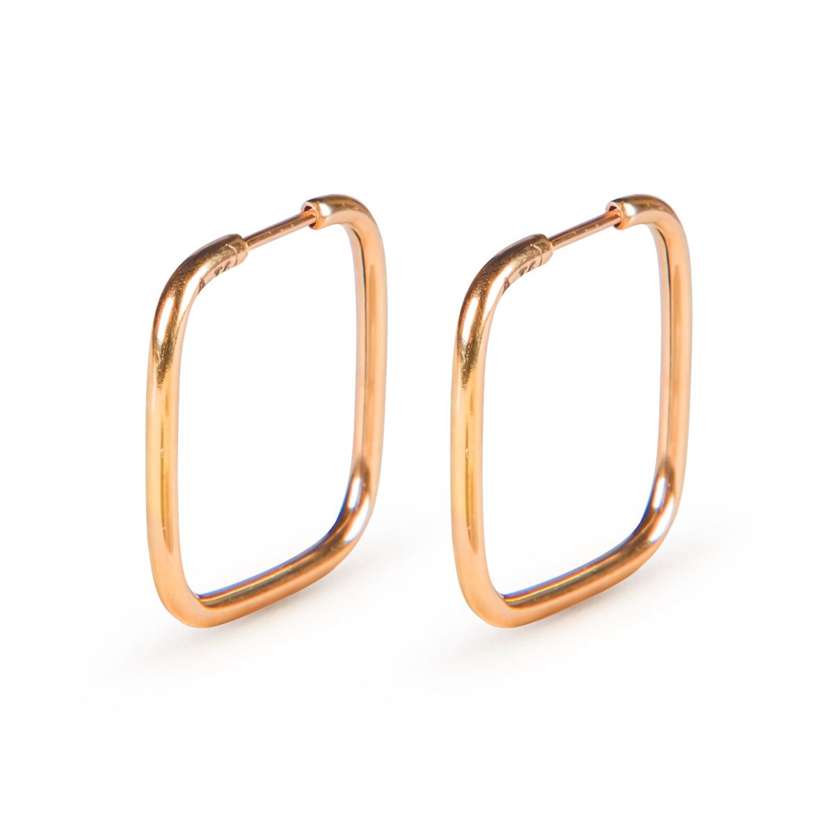 گوشواره طلا 18 عیار زنانه ریسه گالری مدل 3066 گوشواره طلا 18 عیار زنانه ریسه گالری مدل 3066