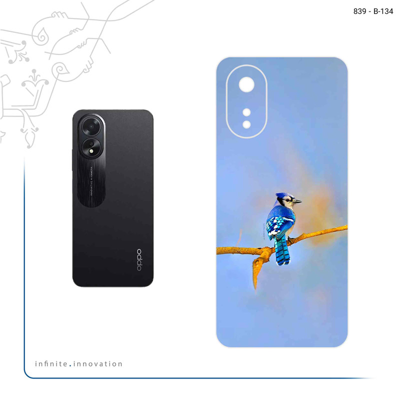 برچسب پوششی ماهوت مدل Cyanocitta cristata مناسب برای گوشی موبایل اپو A38