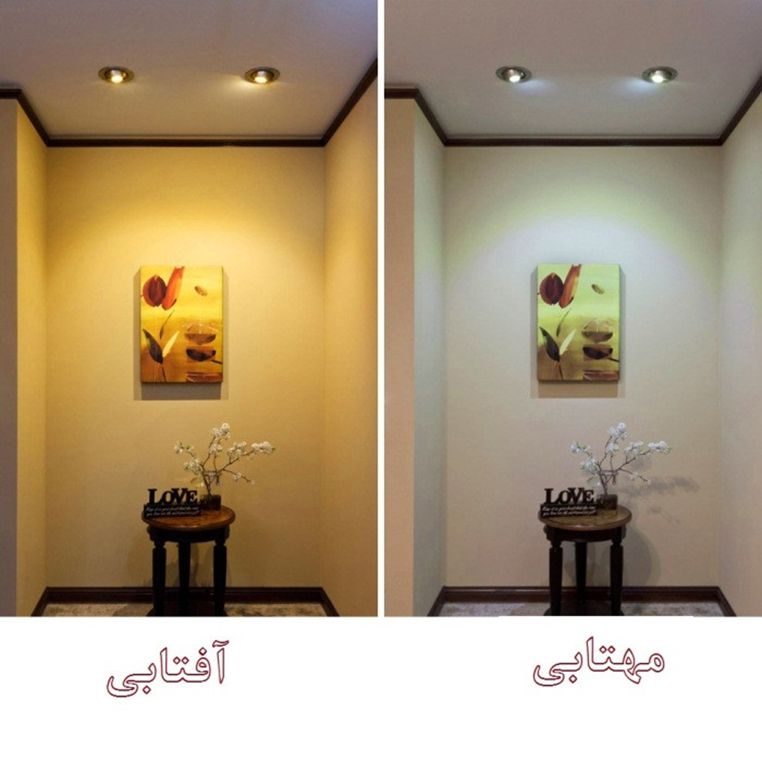 پروژکتور 50 وات مدل 3113