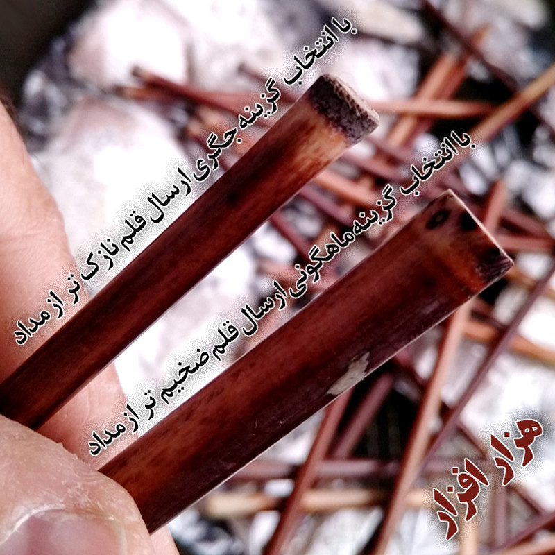 قلم خوشنویسی مدل نی دزفول به همراه لیقه