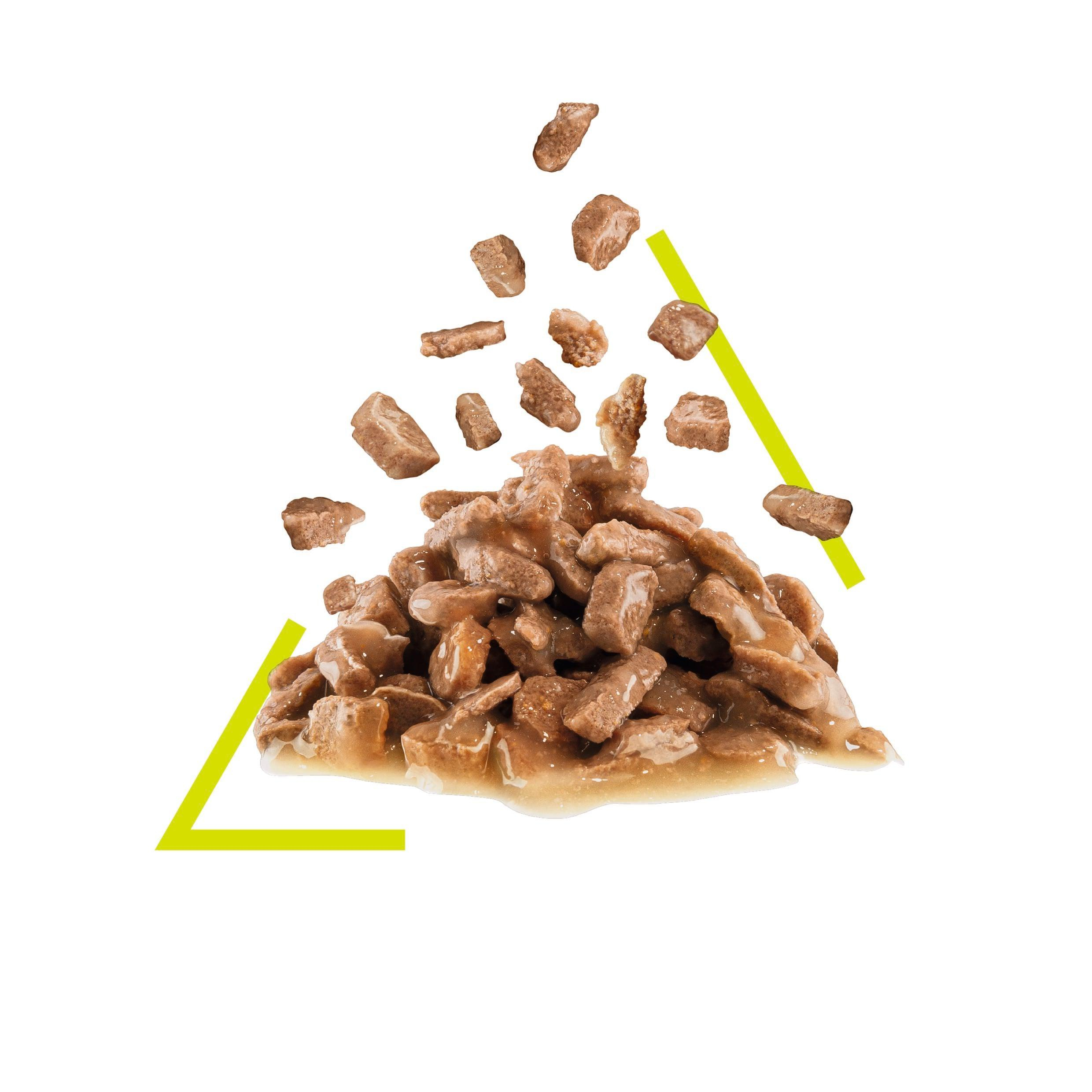 پوچ گربه رویال کنین مدل سنسوری اسمل وزن 85 گرم بسته 12 عددی