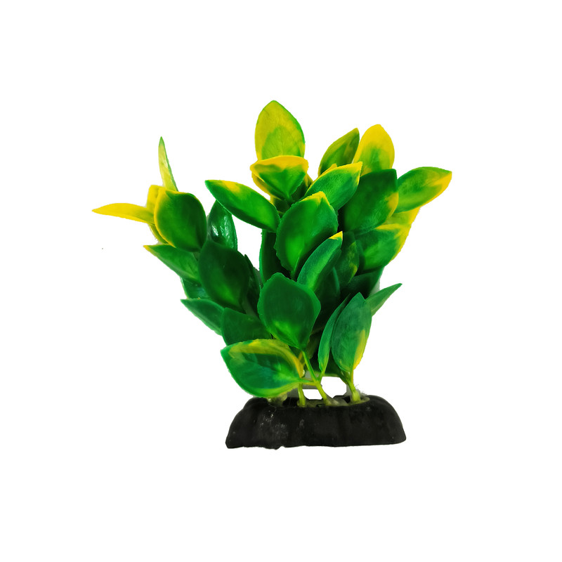 گیاه تزیینی آکواریوم کد S03 مجموعه 10 عددی
