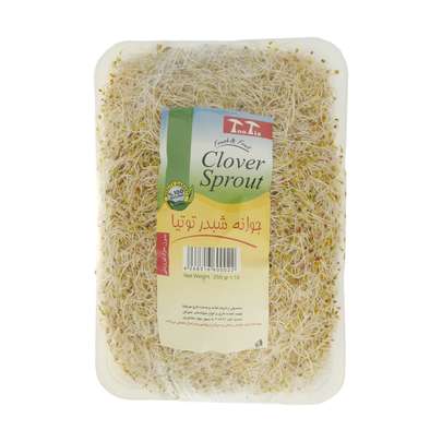 جوانه شبدر را از کجا بخریم؟