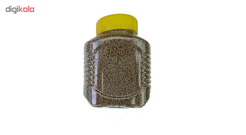 غذای ماهی گرانول مدل 3003 وزن 300 گرم