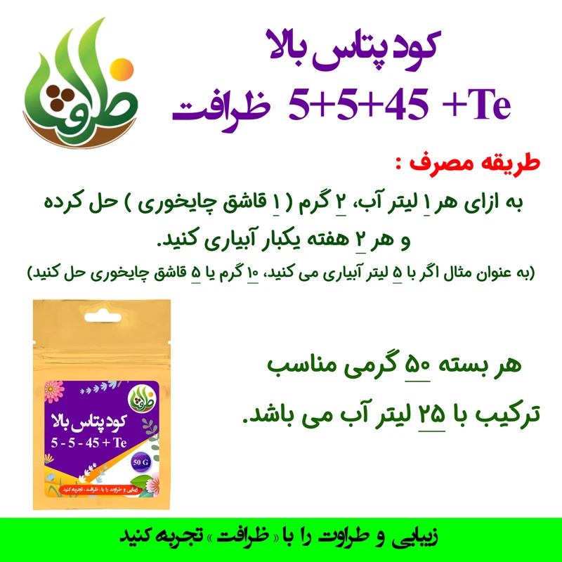 عکس شماره 3