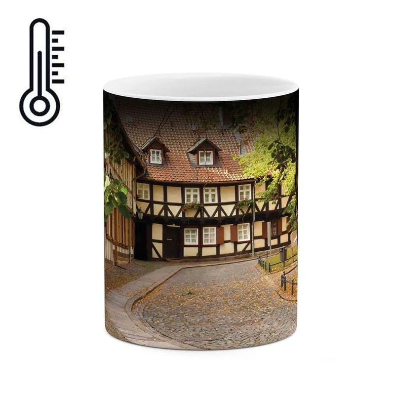 ماگ حرارتی کاکتی مدل خانه زیبا کد mgh10270