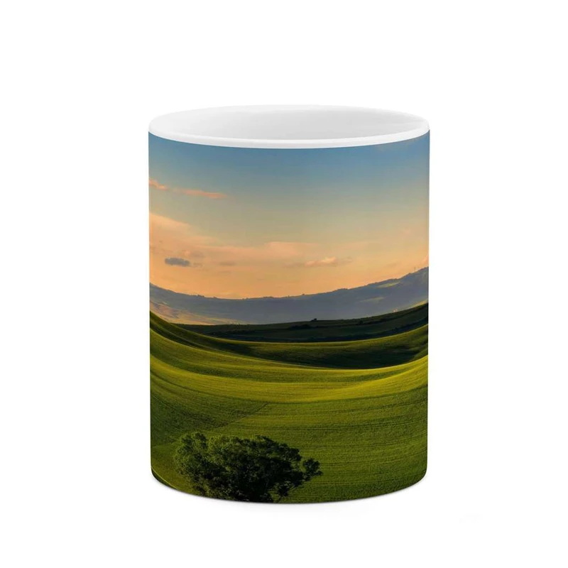 ماگ کاکتی مدل منظره کد mgh16403