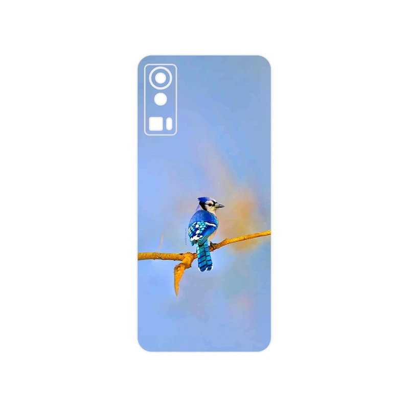 برچسب پوششی ماهوت مدل Cyanocitta cristata مناسب برای گوشی موبایل جی پلاس X20