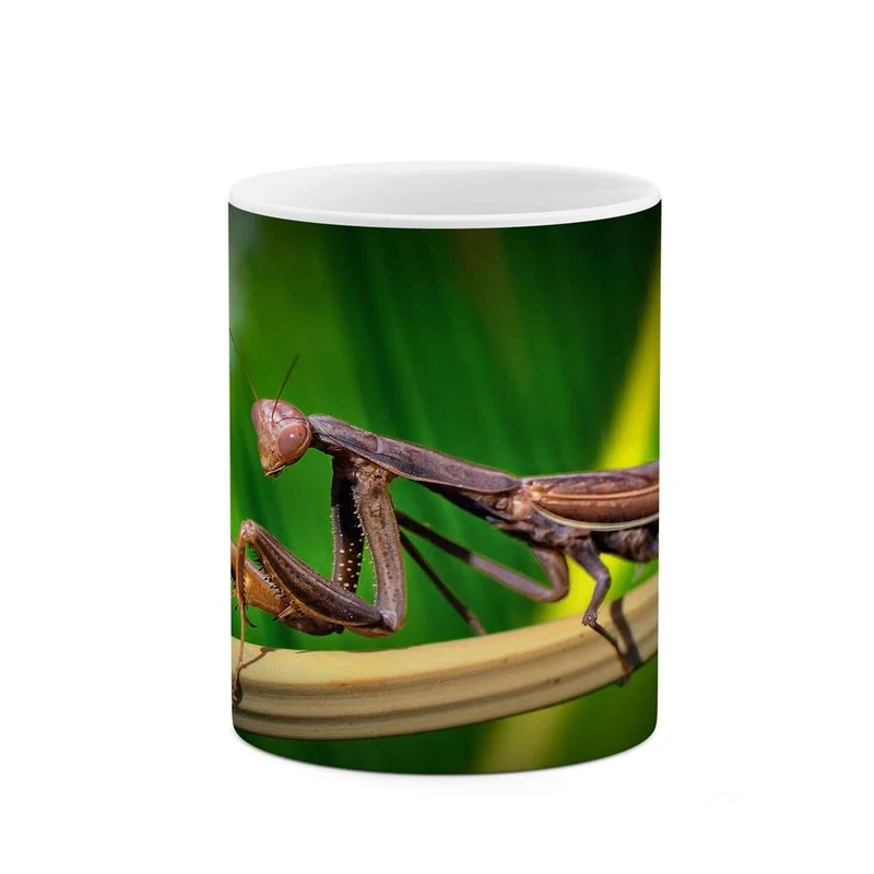 ماگ کاکتی مدل ملخ کد mgh15800