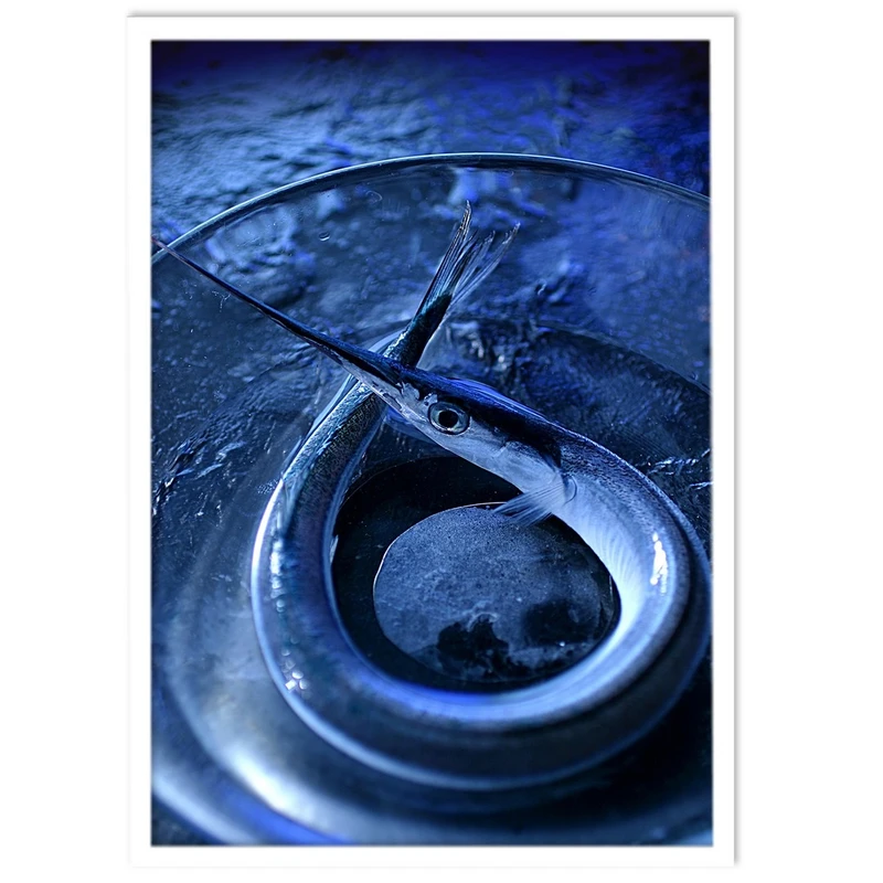 تابلو نوری بکلیت طرح عکاسی تبلیغاتی ماهی مدل W-S316