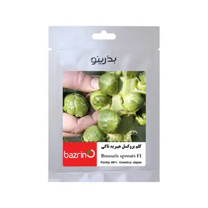 بذر کلم بروکسل تاکی F1  بذرینو کد BZNO-219