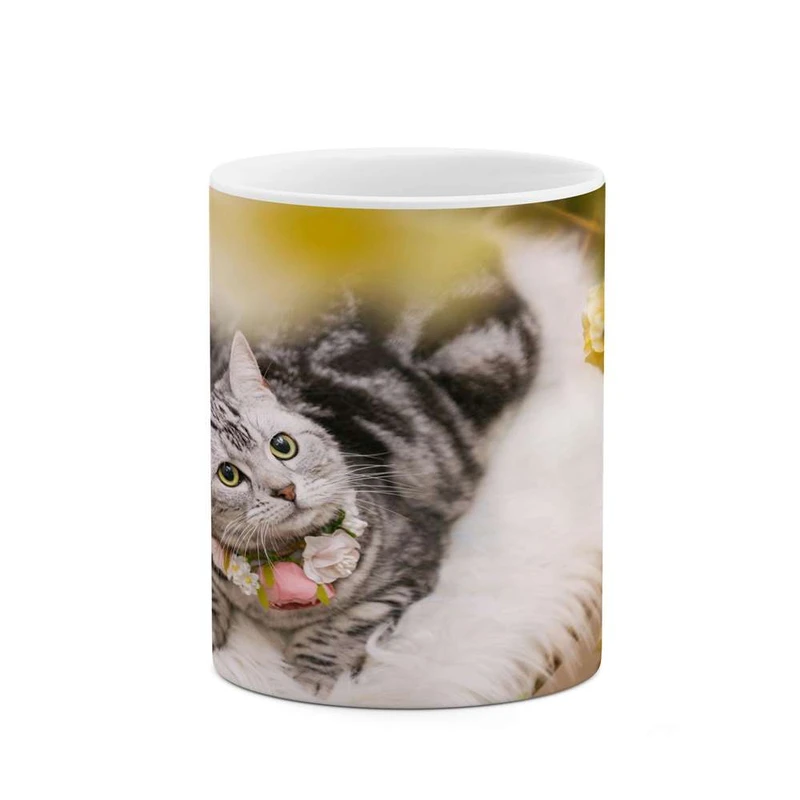 ماگ کاکتی مدل گربه کد mgh16406