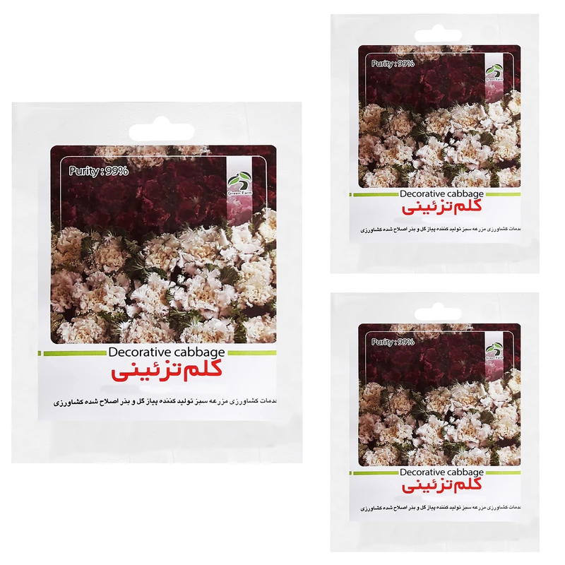 بذر کلم تزیینی گرین فارم کد LMN 1 بسته 3 عددی