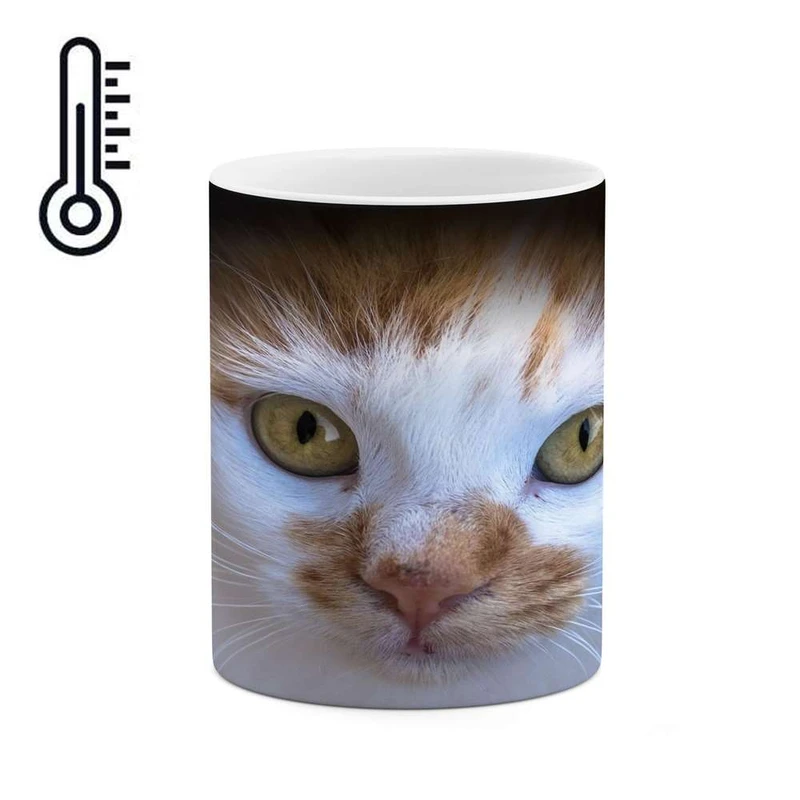 ماگ حرارتی کاکتی مدل گربه کد mgh16660