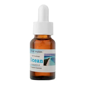 اسانس خوشبوکننده هوا مدل Ocean حجم 17 میلی لیتر