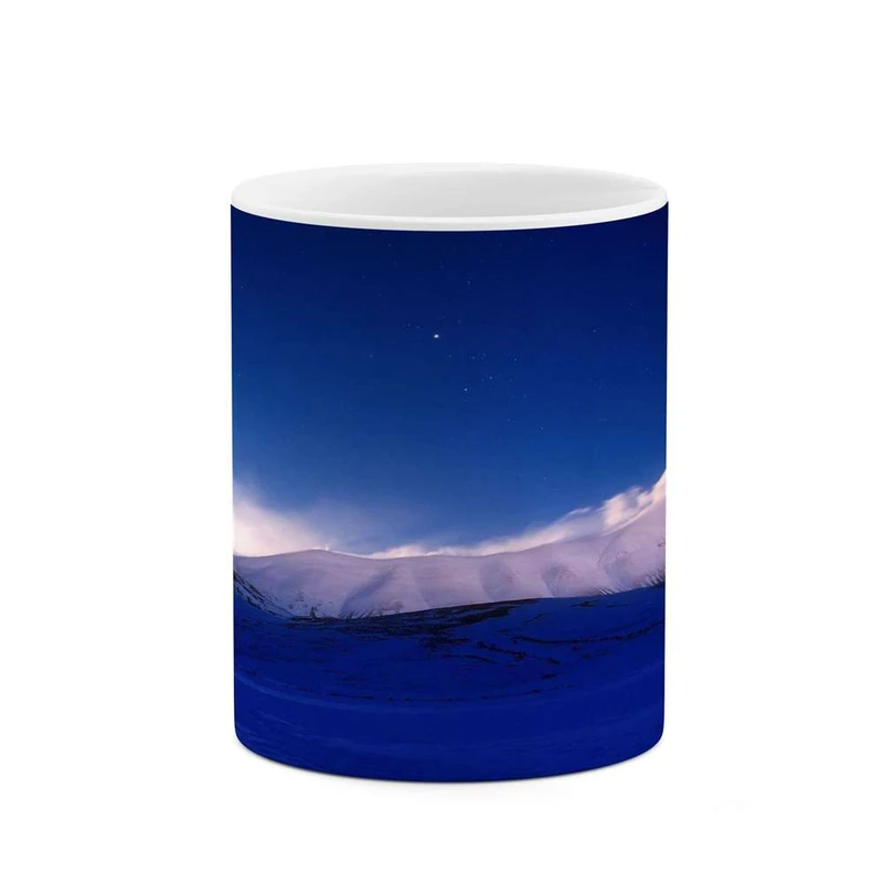 ماگ کاکتی مدل منظره کد mgh15814