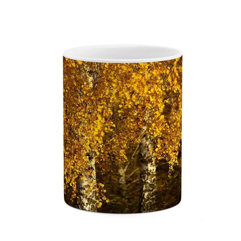 ماگ کاکتی مدل پاییز کد mgh10711