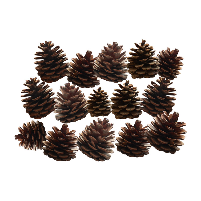 میوه تزیینی مدل میوه درخت کاج کد GB 015 بسته 15 عددی