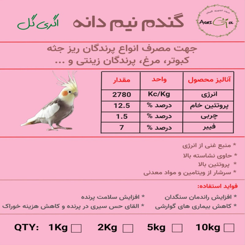 غذای پرندگان اگری گل مدل گندم شکسته وزن 1000 گرم