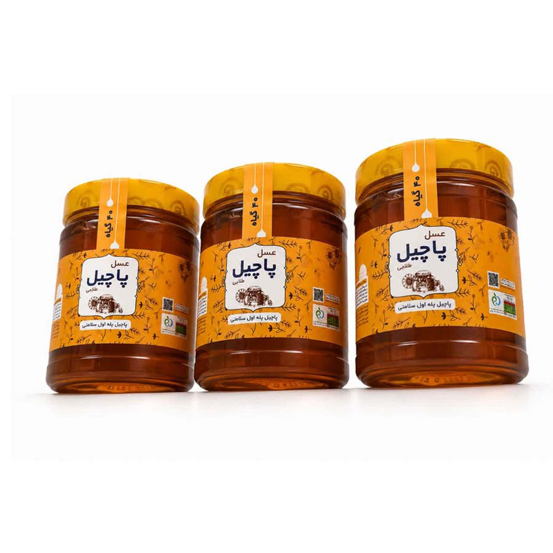عسل چندگیاه پاچیل - 3000 گرم بسته 3 عددی