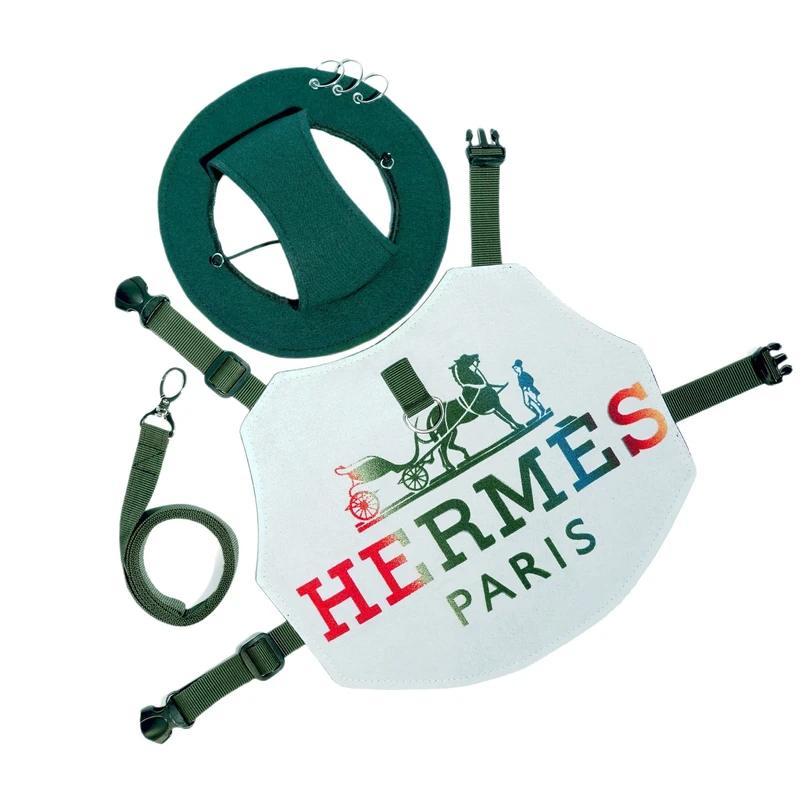 قلاده کتفی و بند قلاده سگ و گربه مدل hr کد 5 به همراه کلاه 