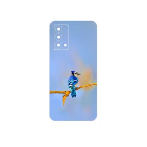 MAHOOT Cyanocitta cristata Cover Sticker for Realme GT Master