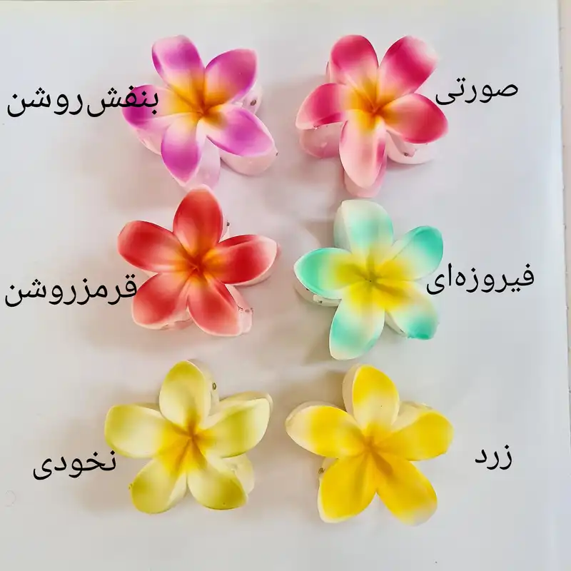 کلیپس مو زنانه مدل گل پلومریا استوایی پنج پر کد brg 3759