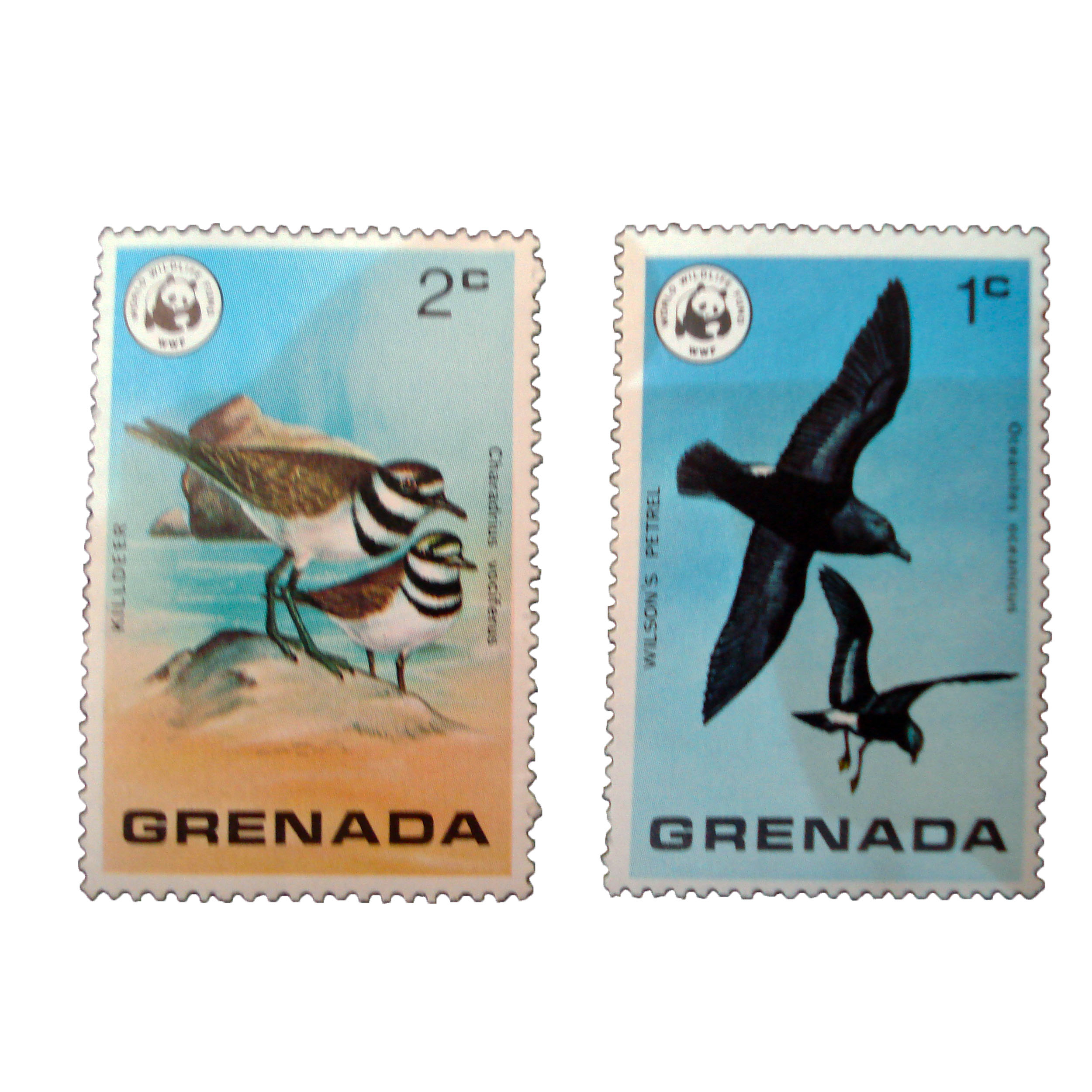 تمبر یادگاری مدل پرنده کد bc-1281 مجموعه 2 عددی