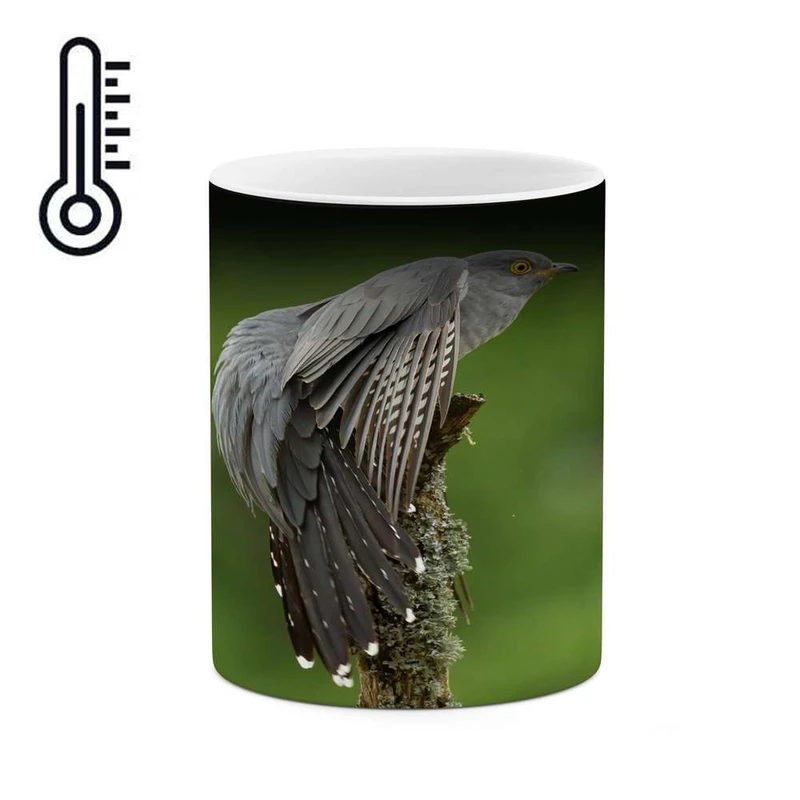 ماگ حرارتی کاکتی مدل پرنده کد mgh17164