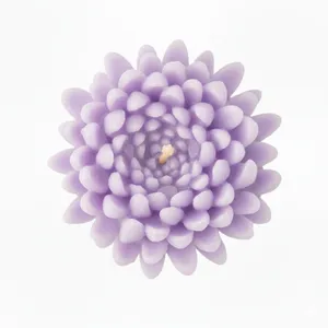 شمع دست‌ساز مدل شناور گل داوودی