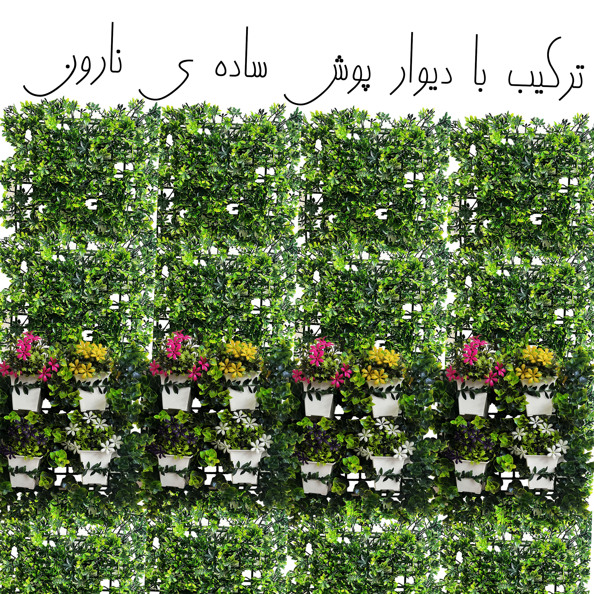 عکس شماره 5