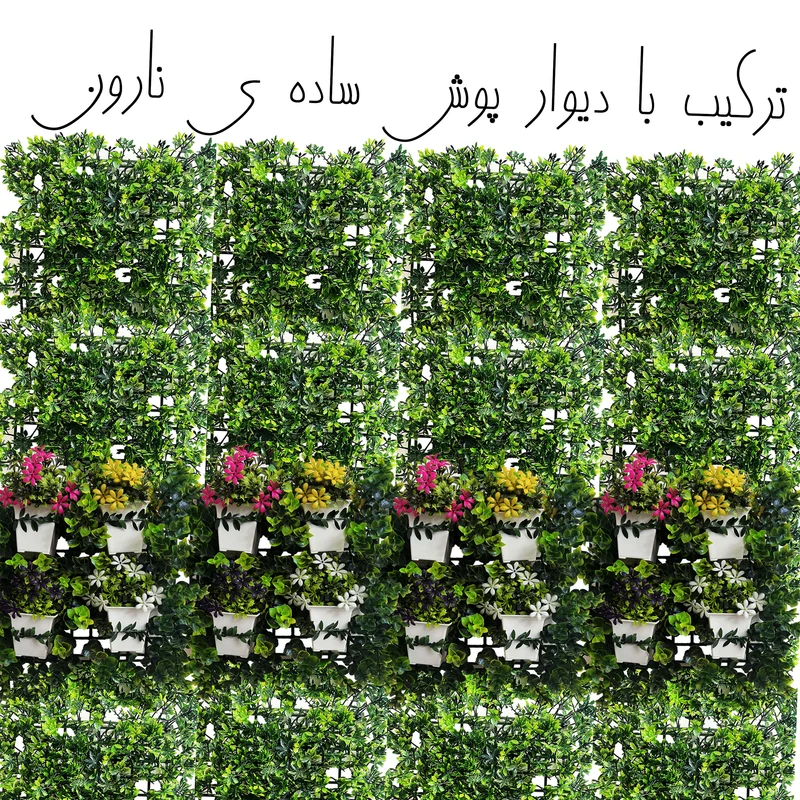 عکس شماره 5