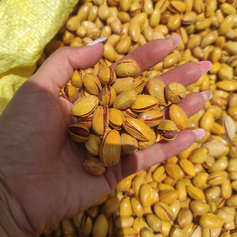 پسته بو داده و شور نایبی - 20 گرم بسته 12 عددی
