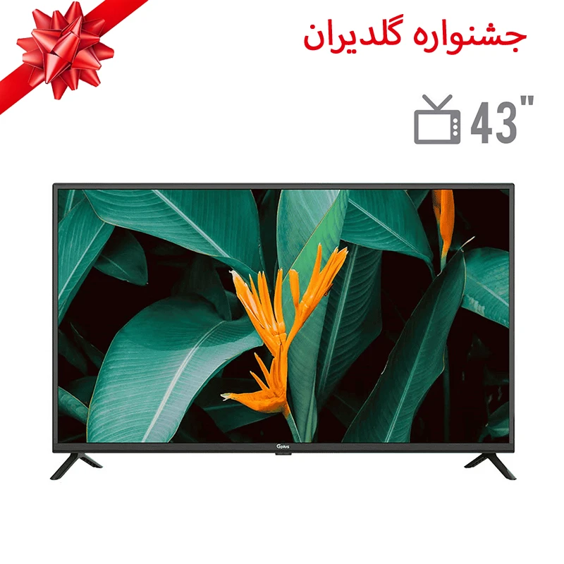 تلویزیون ال ای دی جی پلاس مدل GTV-43PH422N سایز 43 اینچ - مخصوص جشنواره گلدیران