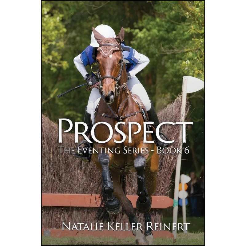 کتاب Prospect اثر Natalie Keller Reinert انتشارات Natalie Reinert