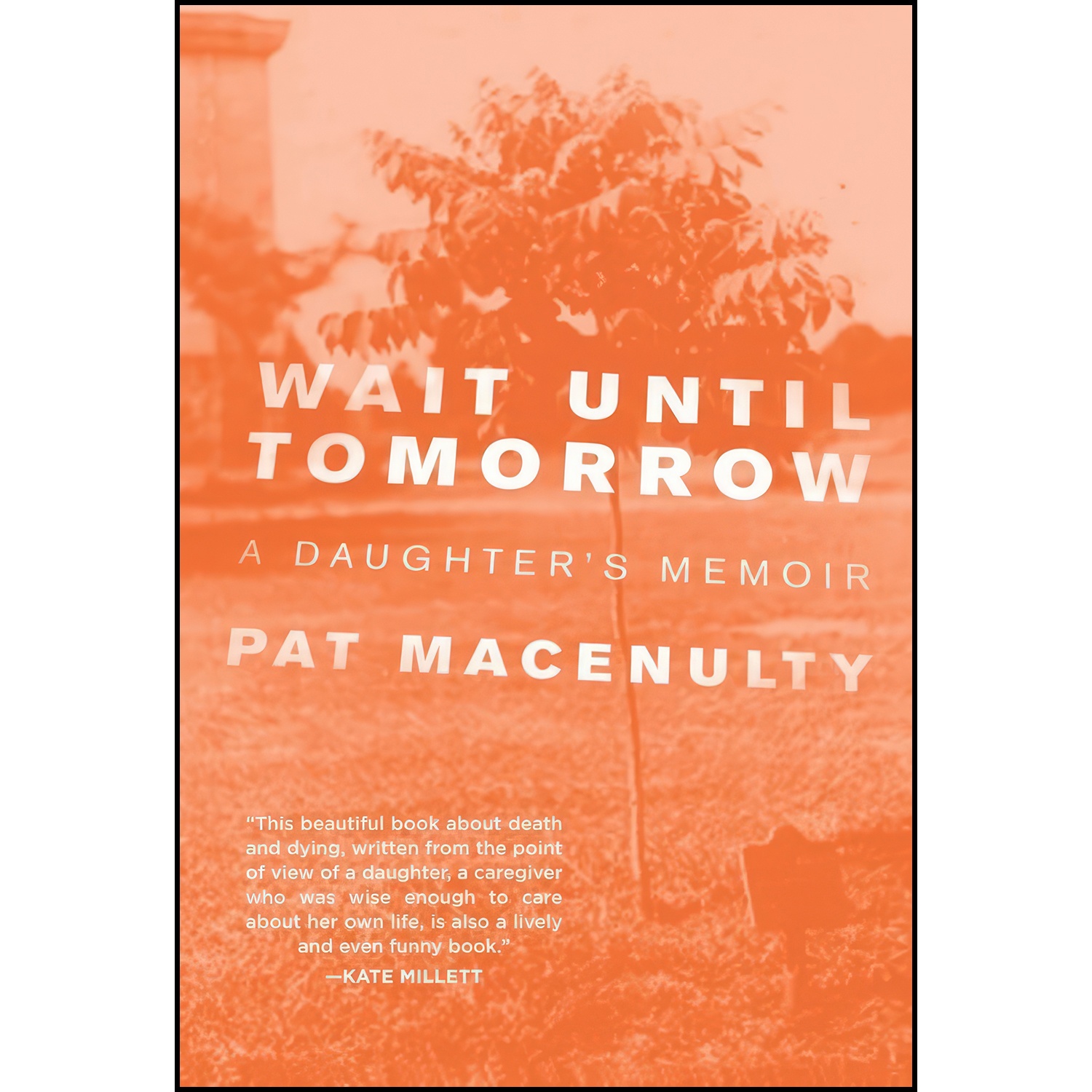 کتاب Wait Until Tomorrow اثر Pat MacEnulty انتشارات The Feminist Press at CUNY