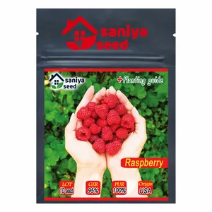 بذر رازبری سانیا سید مدل S33