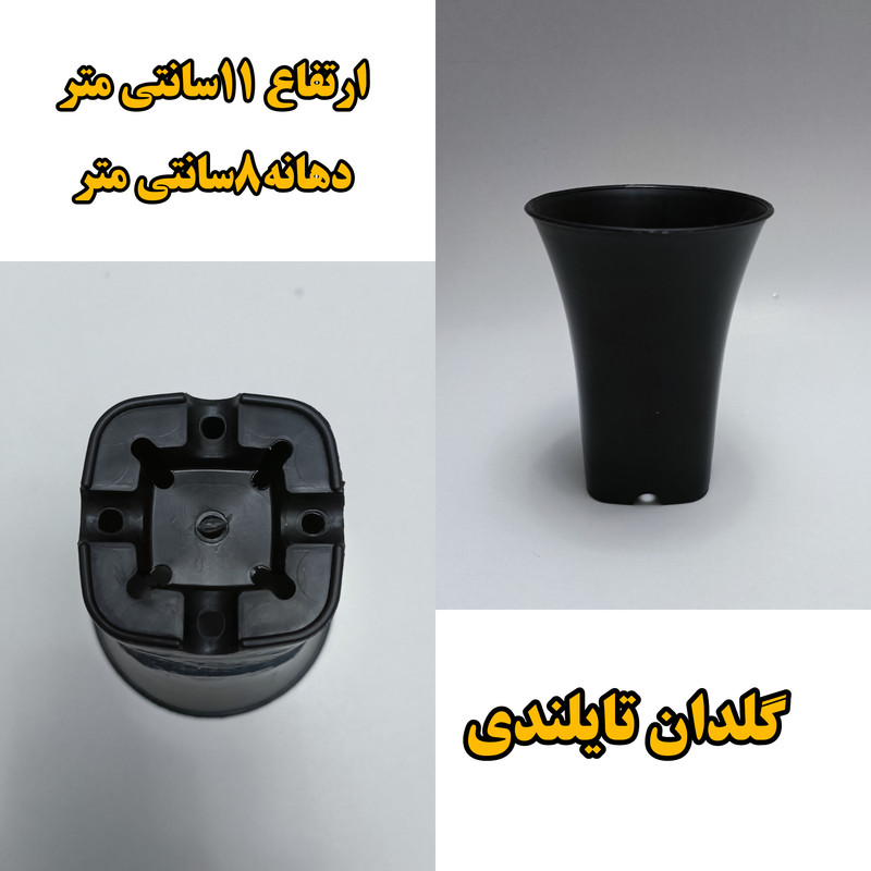 گلدان مدل تایلندی  کدA_10 بسته10عددی