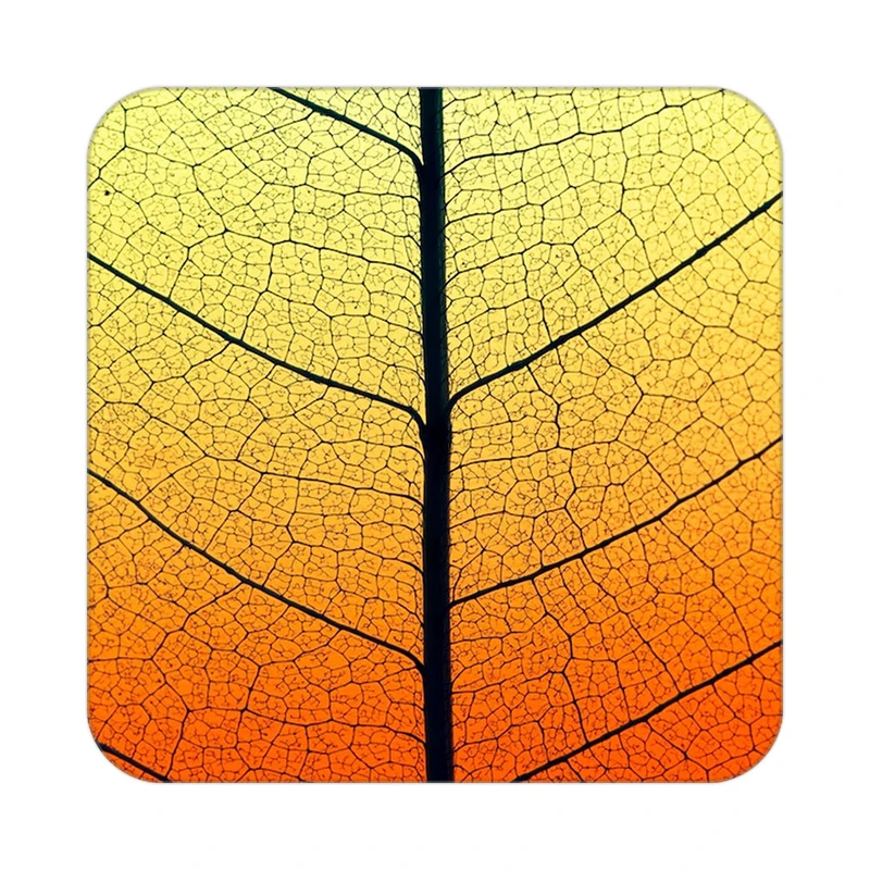 زیر لیوانی کاکتی طرح گل مدل mp17330