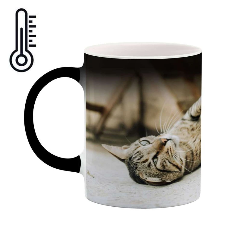 ماگ حرارتی کاکتی مدل گربه کد mgh14097