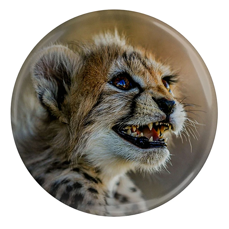 مگنت مدل S12704 طرح پیروز یوزپلنگ ایران