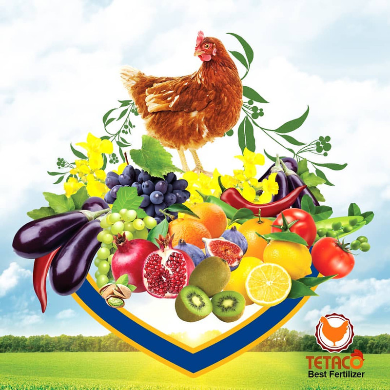 کود پلت مرغی غنی شده تتاکو مدل VIGOROUS وزن 10 کیلوگرم