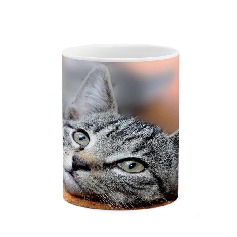 ماگ کاکتی مدل گربه کد mgh14047