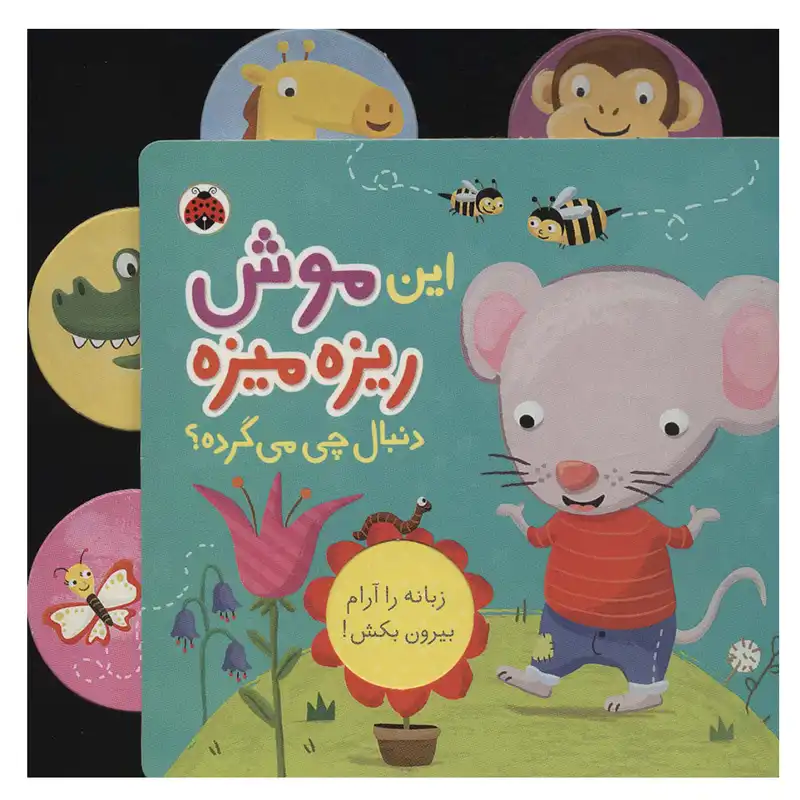 کتاب این موش ریزه میزه دنبال چی می گرده اثر جنی هو انتشارات شهر قلم