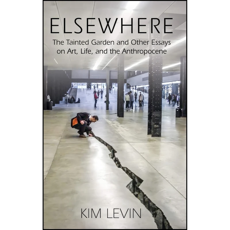 کتاب Elsewhere اثر Kim Levin انتشارات Booklocker.com