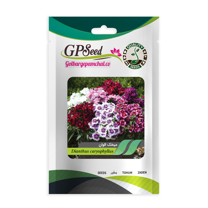بذر گل میخک پامتوسط الوان گلبرگ پامچال کد GPF-086 بذر گل میخک پامتوسط الوان گلبرگ پامچال کد GPF-086
