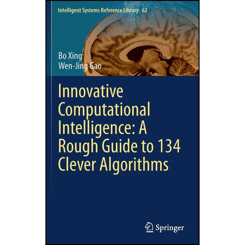 کتاب Innovative Computational Intelligence اثر Bo Xing and Wen-Jing Gao انتشارات Springer