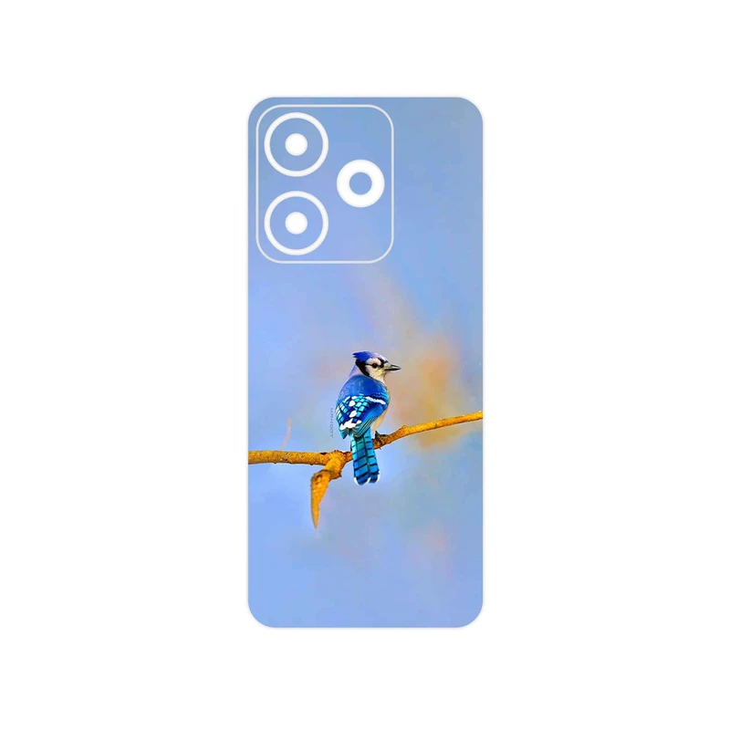 برچسب پوششی ماهوت مدل Cyanocitta cristata مناسب برای گوشی موبایل شیائومی Redmi 13x