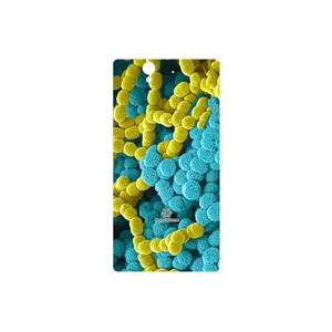 MAHOOT Atom Universe 1 Cover Sticker for Sony Xperia X