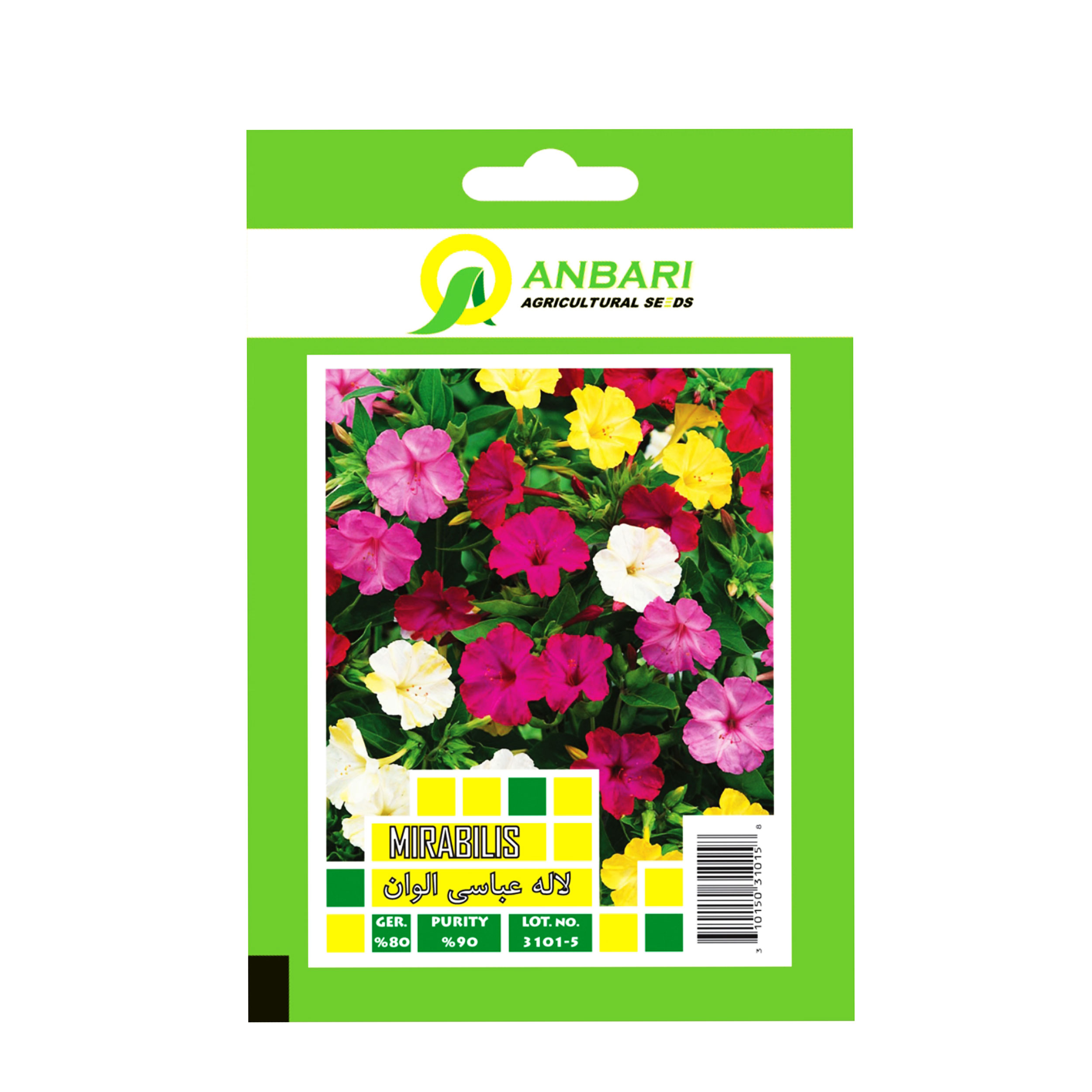 بذر گل لاله عباسی الوان بذر عنبری کد BZA-033